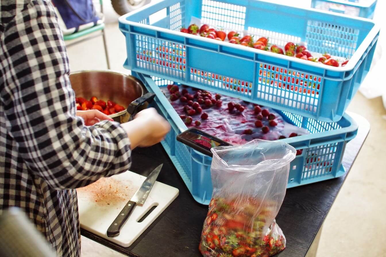 インタビュー時にはちょうど完熟したいちごをジャムにする作業を実施中だった。もちろんTeachmeにてマニュアル化済み。